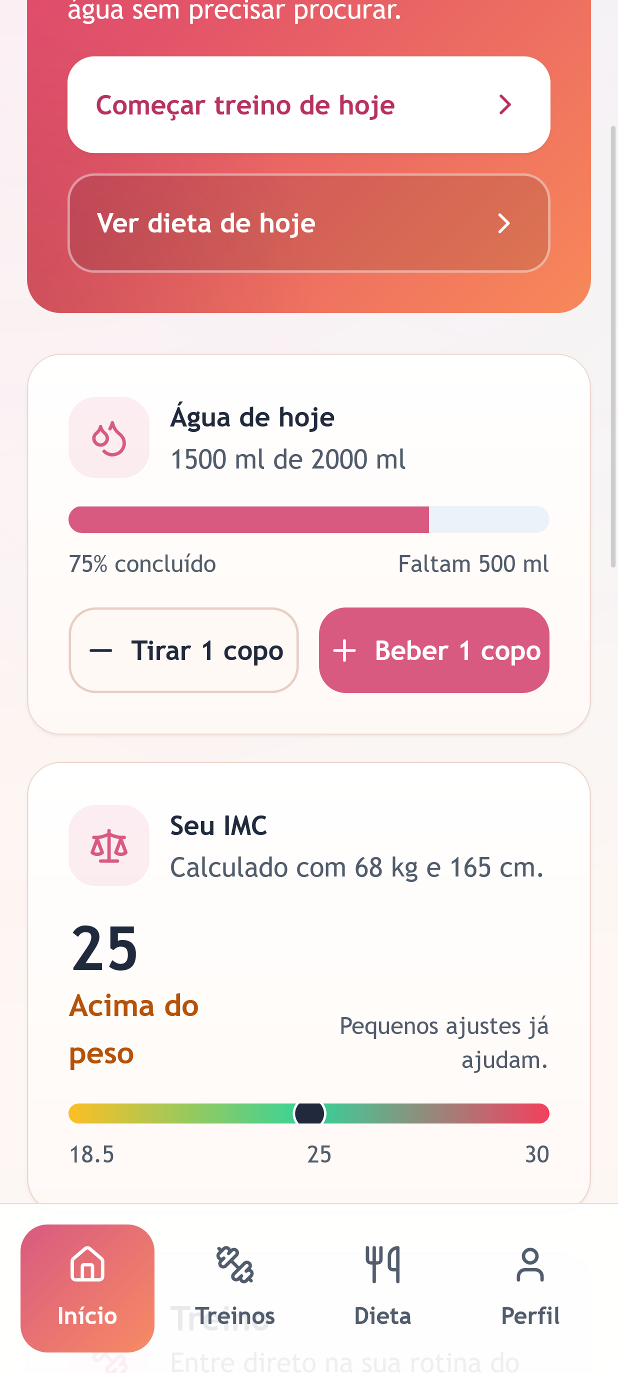 Interface do Fitness Hub